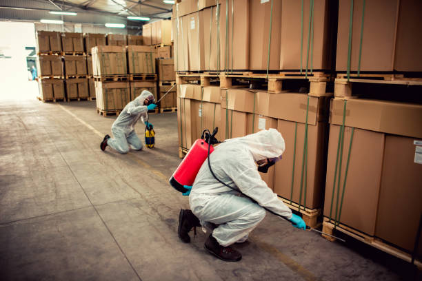 Best Bed Bug Extermination  in Fairforest, SC
