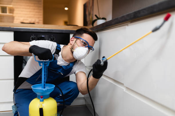 Best Local Pest Control Services  in Fairforest, SC